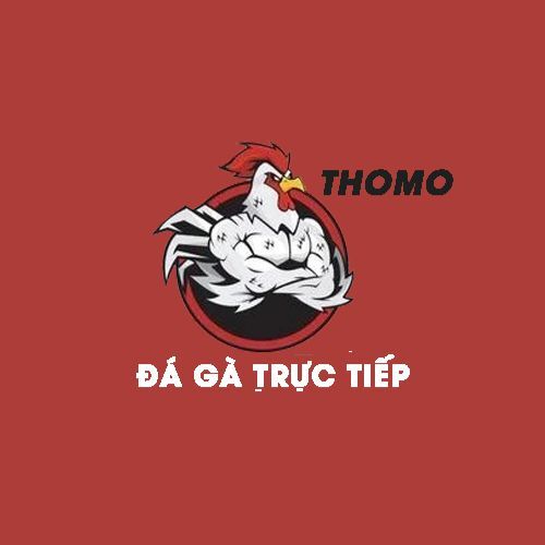 Đá gà trực tiếp Thomo