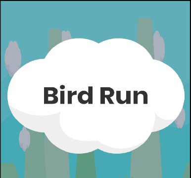 BirdRun