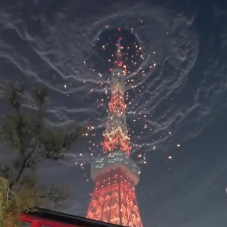 白黒のろろ