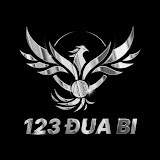 123duabiicom