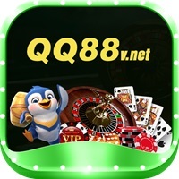 qq88vnet