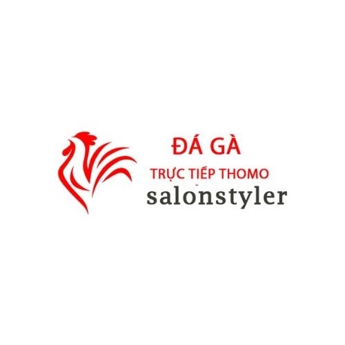 Đá Gà Trực Tiếp Thomo Hôm Nay