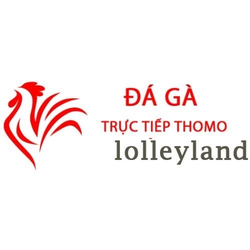 Đá Gà Trực Tiếp Thomo Hôm Nay