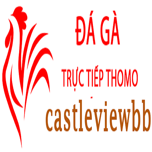 Đá Gà Trực Tiếp Thomo Hôm Nay