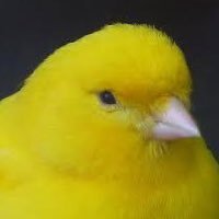 むつんばい🐤