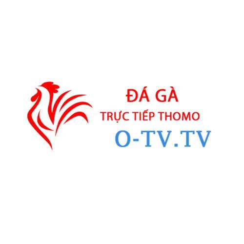 Đá gà Trực tiếp