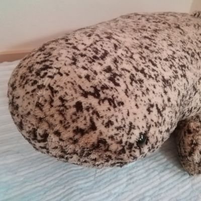 ここにテキストを入力