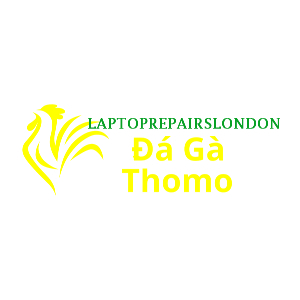 Đá Gà Trực Tiếp Thomo