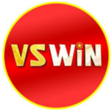 VSWIN