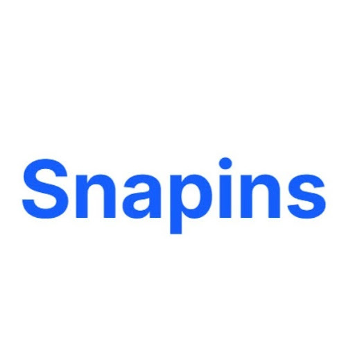 Snapins Download Instagram Video