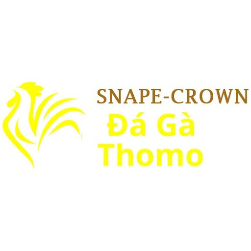 Đá Gà Trực Tiếp Thomo