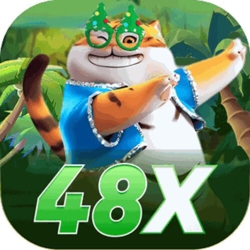 48x