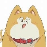 川上あおい