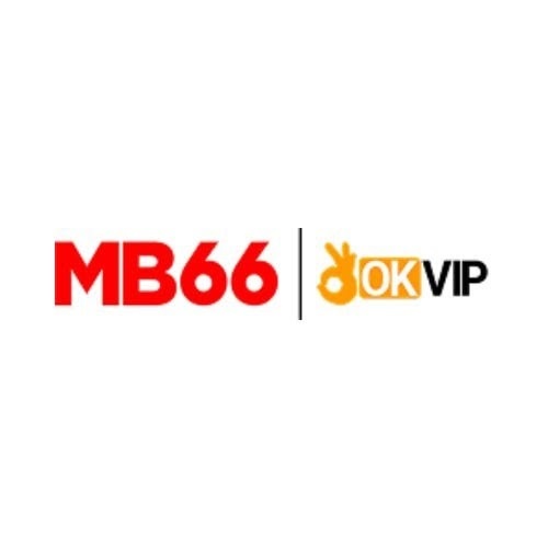 MB6699 Net