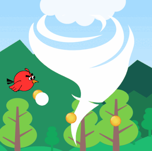 FLY