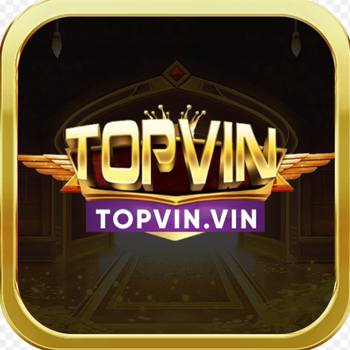 topvinvin