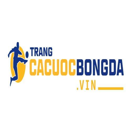 Top trang cá cược bóng đá, cá độ uy tín trực tuyến