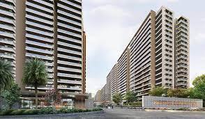 Prestige Evergreen