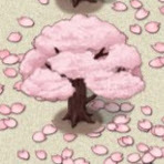 コケコケ子