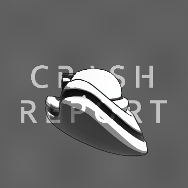 CRASH REPORT