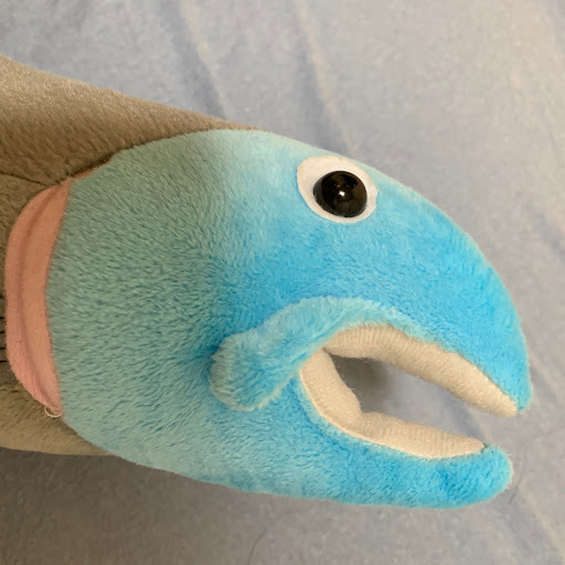 サーモン