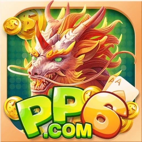 PP6 Online
