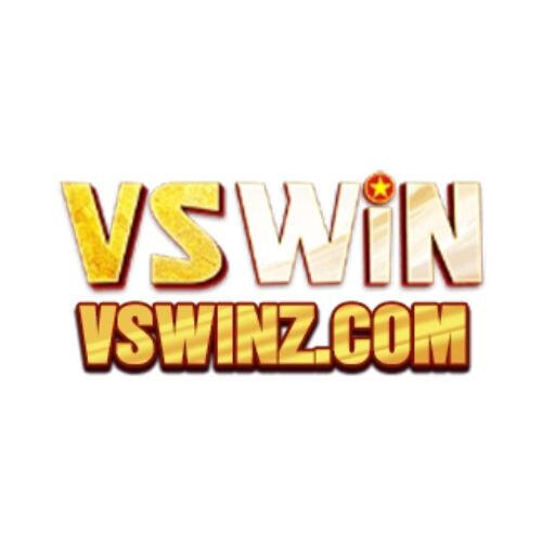 VSWinz Com