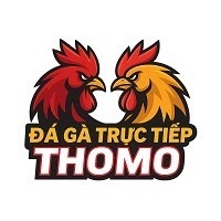 Đá gà trực tiếp Thomo