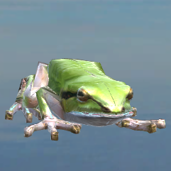 Frog_Crops