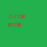 すいかわりの野次馬