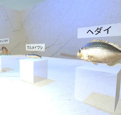 MEA AQUA 　魚を3Dで観る