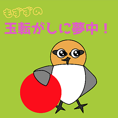 もずずの玉転がしに夢中!