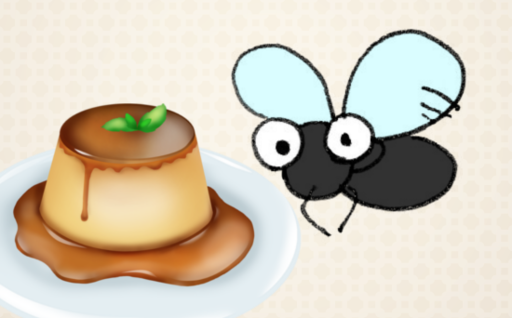 Fly & Pudding