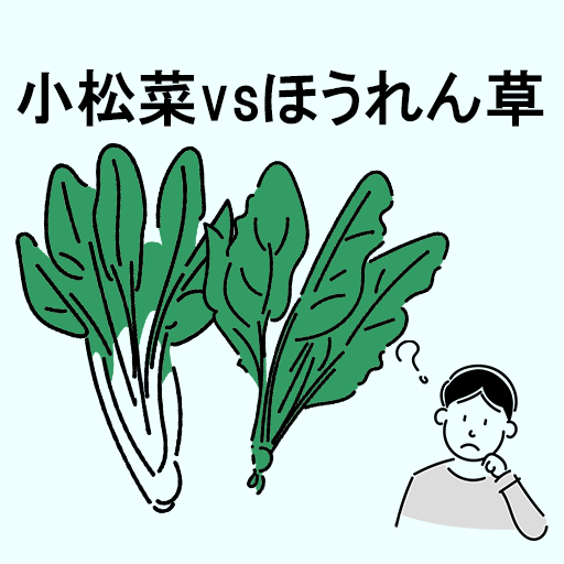 小松菜vsほうれん草　～似ているものクイズ～