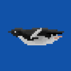 PENGUIN