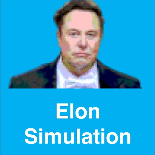  Elon Simulation