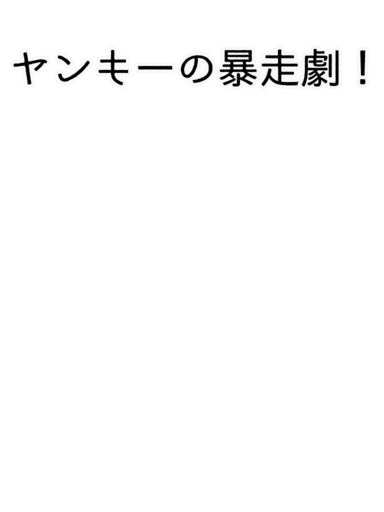 ヤンキーの暴走劇！